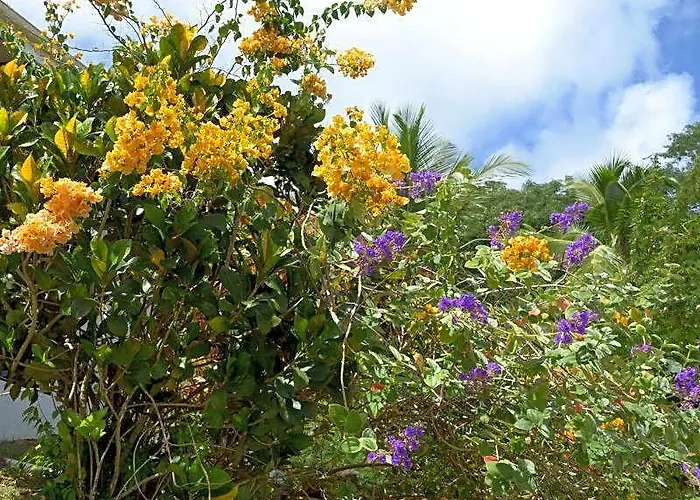 La & Hotel Anse Royale
